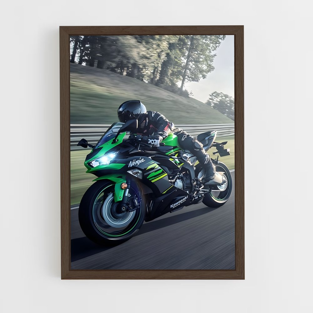 Poster Guerrier Audacieux (vue 5)